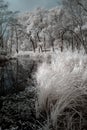 Duotone infrared lake Royalty Free Stock Photo