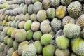 Durain Fruit Display to Sell Royalty Free Stock Photo