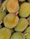 Durain Fruit Display Royalty Free Stock Photo