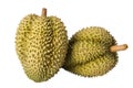 Durain fruit on white background Royalty Free Stock Photo