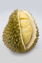 Durain fruit on white background Royalty Free Stock Photo