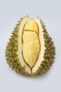 Durain fruit on white background Royalty Free Stock Photo