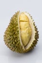 Durain fruit on white background Royalty Free Stock Photo
