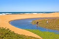 Durban South Africa Couple Walking Dogs on Beach