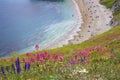 Durdle Door - Beautiful beaches of Dorset, UK Royalty Free Stock Photo