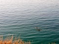 durdle door nature coastline coast sea special landscape dorset