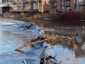 DURHAM, COUNTY DURHAM/UK - JANUARY 19 : Cormorant standing on a