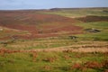 England's last great wilderness the Durham Dales, UK