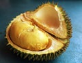 Durian Royalty Free Stock Photo