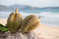 Durian on the beach