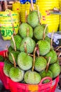 Durian, the Controversial King of Tropical Fruits