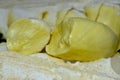 Durian is a delicious yellow fruit. It is a seasonal fruit. It is very popular to eat, Royalty Free Stock Photo