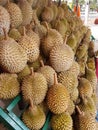 Durian display at Hawker Street Royalty Free Stock Photo