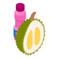 Durian drink icon isometric vector. Fresh durian half and closed yogurt bottle