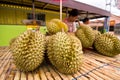 Durian Royalty Free Stock Photo