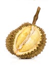 Durian or durio fruit isolated on white surface Royalty Free Stock Photo