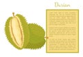 Durian Exotic Juicy Fruit Unusual Flavour Poster