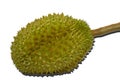 Durian the famous fruit from Thailand, it also known as The King of Fruits on white background Royalty Free Stock Photo