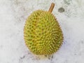 Durian, the famous fruit of Thailand Royalty Free Stock Photo