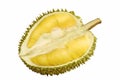 Durian Fruit