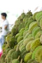Durian fruit Royalty Free Stock Photo