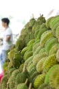 Durian fruit