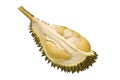 Durian fruit Royalty Free Stock Photo