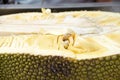 Durian Fruit