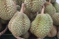 Durian fruit background in thailand market Royalty Free Stock Photo