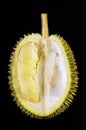Durian fruit basket on black background Royalty Free Stock Photo