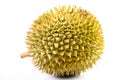 Durian fruit basket on a white Royalty Free Stock Photo