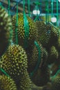 Durian Fruit on Display at Night Market. vertical photo version