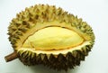 Durian fruit good taste and sweet king of fruit Royalty Free Stock Photo