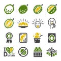 durian icon set Royalty Free Stock Photo