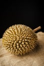 Durian fruit isolated