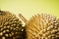 Durian fruit isolated