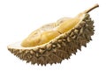Durian fruit isolated on white background Royalty Free Stock Photo