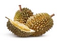Durian fruit isolated on white background Royalty Free Stock Photo
