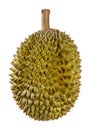 Durian fruit isolated on white Royalty Free Stock Photo