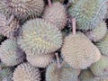 durian fruit and its distinctive taste.