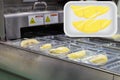 Durian fruit on linear tray food container heat sealing machine