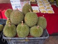 Durian fruit loved and hated, Singapore Royalty Free Stock Photo