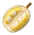 Durian fruit portion isolated Royalty Free Stock Photo