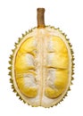 Durian fruit portion isolated