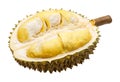 Durian fruit portion isolated Royalty Free Stock Photo