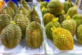Durian fruit for sale in the local market.