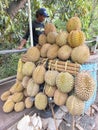 Durian fruit seller on the side of the road