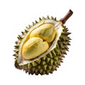 Durian fruit with slices isolated on white, Durian fruit and ripe durian cut in half Royalty Free Stock Photo