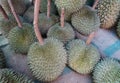 Durian fruit