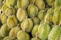 Durian,the fruit in Thailand. tropical fruit delicious, sweet and good smell sale at market Royalty Free Stock Photo